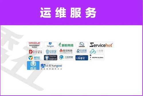 日志易再度登榜中國企業(yè)服務(wù)云圖，以文化經(jīng)紀(jì)人服務(wù)引領(lǐng)行業(yè)數(shù)字化新篇章