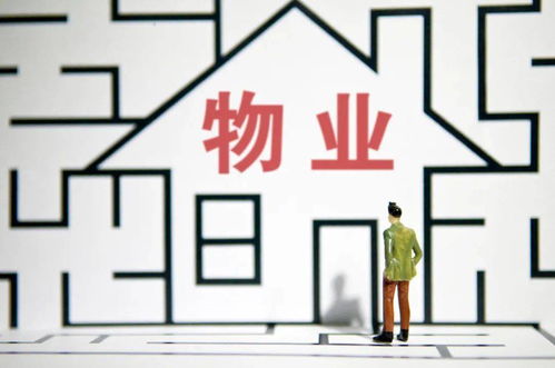 裝修垃圾清運(yùn)費(fèi)捆綁交房引爭議，煙臺物業(yè)違規(guī)操作遭整改