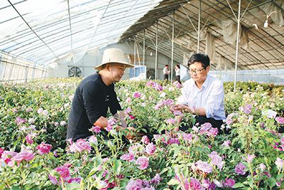 鄉(xiāng)土人才在苗木基地傳授花卉種植技術