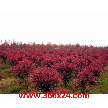 東陽(yáng)市配件廠家|浙江優(yōu)質(zhì)的防火門(mén)配件供應(yīng)出售促銷(xiāo),東陽(yáng)市配件廠家|浙江優(yōu)質(zhì)的防火門(mén)配件供應(yīng)出售供應(yīng),東陽(yáng)市配件廠家|浙江優(yōu)質(zhì)的防火門(mén)配件供應(yīng)出售現(xiàn)貨,低價(jià)東陽(yáng)市配件廠家|浙江優(yōu)質(zhì)的防火門(mén)配件供應(yīng)出售-366商務(wù)網(wǎng)-免費(fèi)B2B企業(yè)信息發(fā)布平臺(tái)